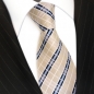 Preview: TigerTie Designer Seidenkrawatte creme elfenbein weiss blau kariert