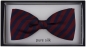 Preview: TigerTie Fliege in bordeaux marine gestreift - Fly Fliege 100% pure Seide Silk