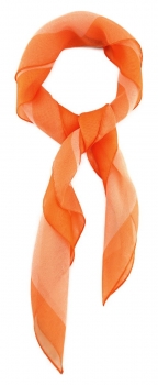 TigerTie Damen Chiffon Nickituch lachs orange mit Bordüre - Größe 58 cm x 58 cm