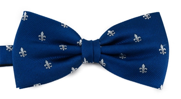 TigerTie Fliege in royal blau silber mit Lilien gemustert + Aufbewahrungsbox